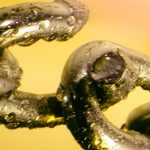 https://seopyme.es/blog/2025/02/17/realmente-los-enlaces-internos-importan-menos-como-dice-google/